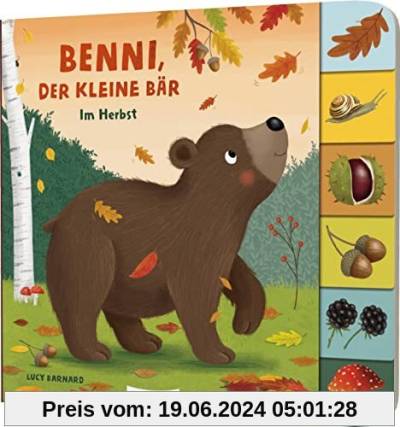 Mein erstes Jahreszeitenbuch: Benni, der kleine Bär: Im Herbst | Pappebuch mit Griff-Register